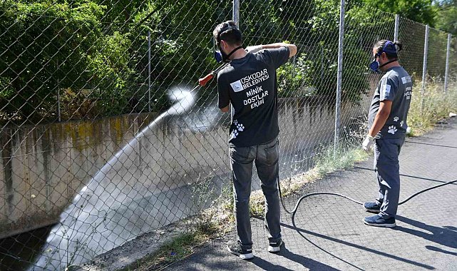 Üsküdar Belediyesi tarafından vektörlerle mücadele devam ediyor