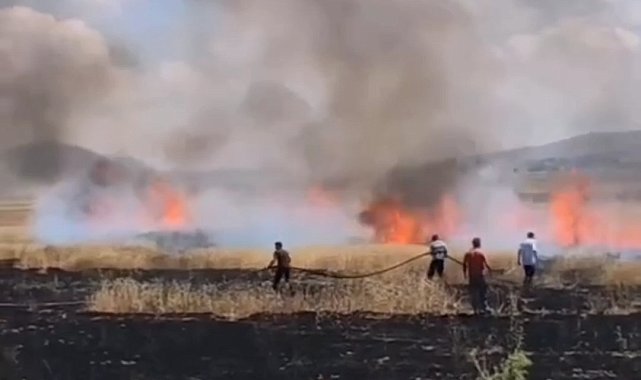 Van'da tarım arazisinde yangın
