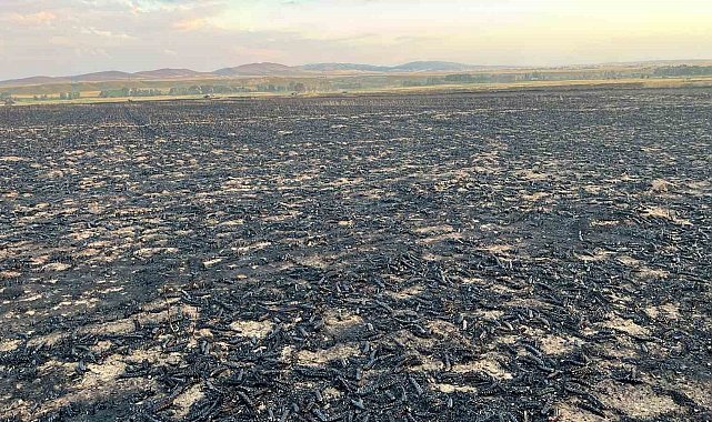 Yozgat'ta bin dönüm buğday ekili alanda yangın çıktı
