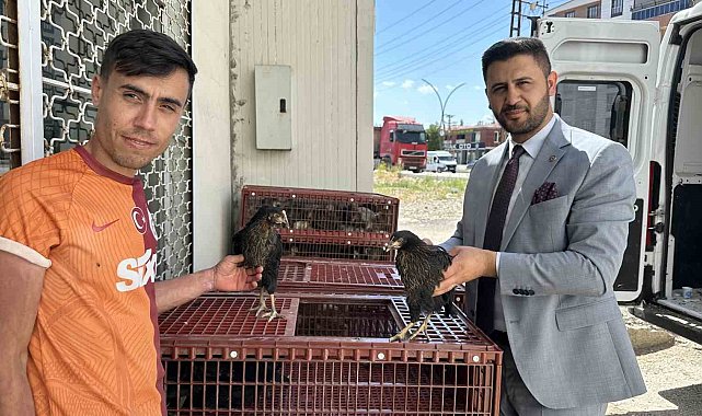 Yüksekova'da 5 bin kanatlı hayvan dağıtıldı