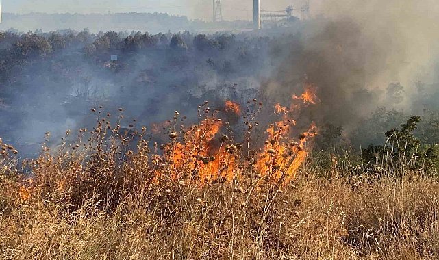 Ziraat odasından çiftçilere 'anız yangını' uyarısı