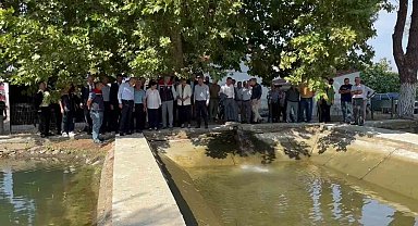 10 milyon yavru sazan suya bırakıldı