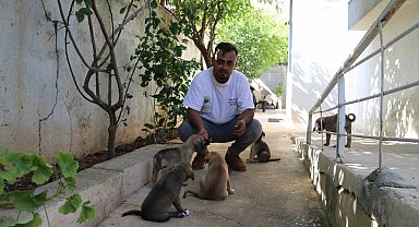 2 duvar arasında ölümü bekleyen yavru köpekleri yaşama tutundurdular