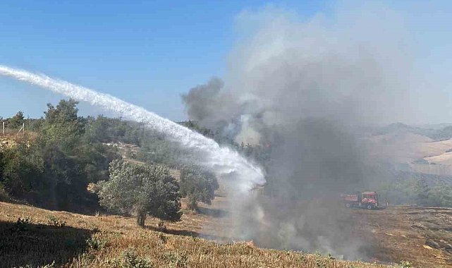Adana'da anız yangını, orman yangınına dönüştü