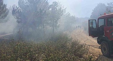 Afyonkarahisar Kırka'da orman yangını