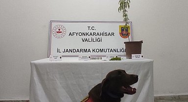 Afyonkarahisar'da uyuşturucu operasyonu: 2 gözaltı