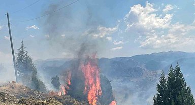 Alanya'da makilik alanda çıkan yangın ormana sıçramadan söndürüldü