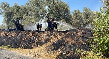 Alevlerin antik kente ulaşmasını itfaiye ekiplerinin hızlı müdahalesi önledi