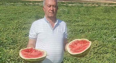 Altun: "Tarlada bedava, rafta ateş pahası"