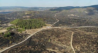 Ankara'dan Bolu'ya sıçrayan yangın 22 saat sonra kontrol altına alındı