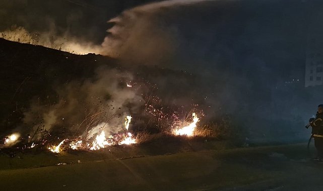 Antakya'da çıkan tarla yangını itfaiye tarafından söndürüldü