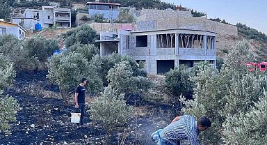 Antakya'da zeytinlik alanda çıkan yangın büyümeden söndürüldü