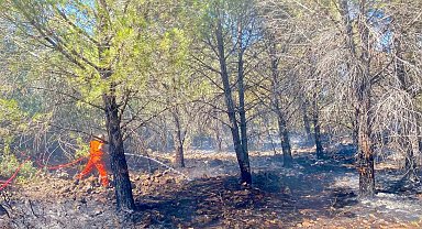 Antalya'da 2 dönüm ormanlık alan yandı