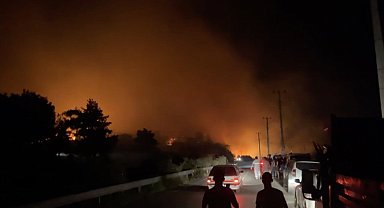 Antalya'da orman yangını