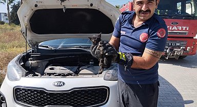 Araç motoruna sıkışan kediyi itfaiye kurtardı