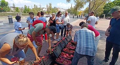 Aracılara kızan üretici 2 bin adet Ejder meyvesini bedava dağıttı