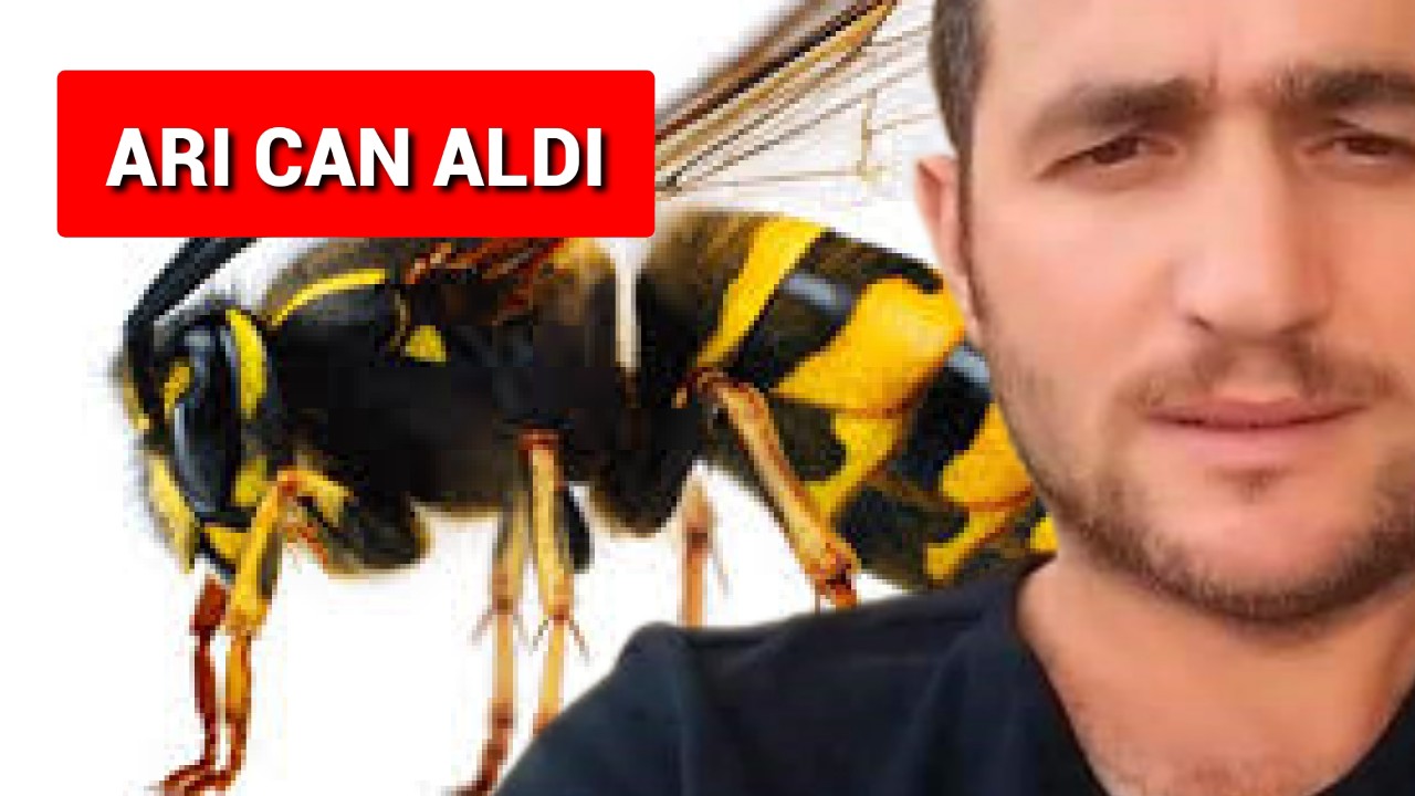 ARI DUDAĞINI SOKTU, GENÇ ADAM HAYATINI KAYBETTİ