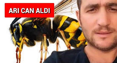 ARI DUDAĞINI SOKTU, GENÇ ADAM HAYATINI KAYBETTİ