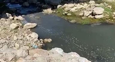 Atık suyunu dereye deşarj eden patates fabrikasına ceza