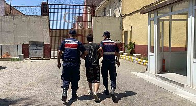 Aydın'da 'Çember 21' operasyonları: 50 şahıs yakalandı