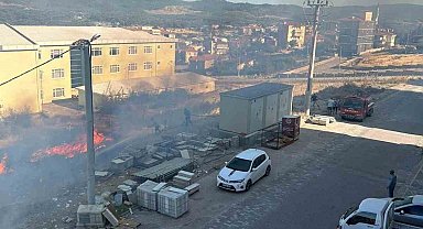 Ayvacık'ta otluk alanda çıkan yangın korkuttu