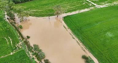 Bafra Ovası'nda tarım arazileri sular altında