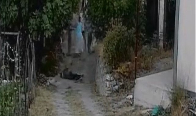 Bahçeye giren koyunlar nedeniyle işlenen cinayetin görüntüleri dehşete düşürdü