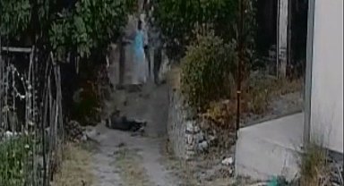 Bahçeye giren koyunlar nedeniyle işlenen cinayetin görüntüleri dehşete düşürdü