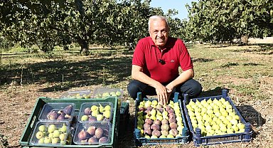 Başkan Şadi Özdemir'den üreticilere 'Kooperatif kurun' çağrısı