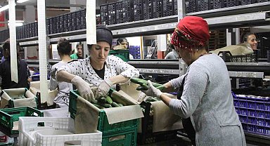 Batı Akdeniz'de ihracat yaklaşık 2 milyar dolara ulaştı