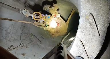 Batman'da su kuyusuna düşen inek halatlı makarayla kurtarıldı