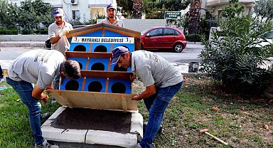 Bayraklı'da pati evlerinin sayısı artıyor
