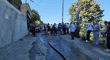 Belediyenin hayvan toplama aracında çıkan yangın ormanlık alana sıçradı