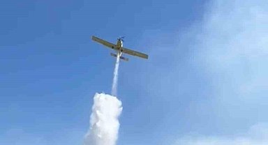Bergama'daki orman yangını kontrol altında
