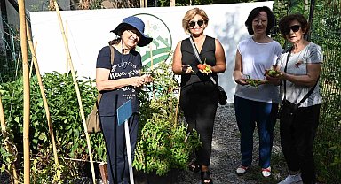 Beşiktaş'ta Konaklar Bostanı ilk mahsullerini vermeye başladı