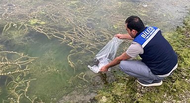 Bilecik'te 14 farklı göle 134 bin 500 adet sazan balığı yavrusu bırakıldı