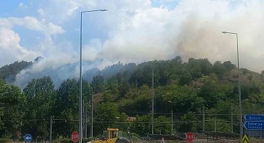 Bilecik'te çıkan otluk yangını kontrol altına alındı