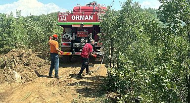 Bingöl'deki orman yangını erken müdahaleyle büyümeden söndürüldü