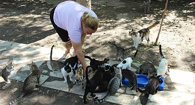 Bir sesine onlarca kedi koşuyor