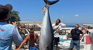 Bodrum'da 370 kiloluk orkinos yakalandı