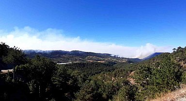 Bolu'da orman yangını 21'nci saatinde: Sabahın ilk ışıklarıyla havadan müdahale başladı