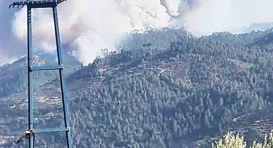 Bozdoğan'da orman yangını