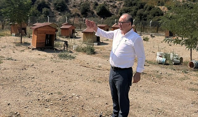Buldan'da tepkiler artınca, Başkan barınağa gidip poz verdi