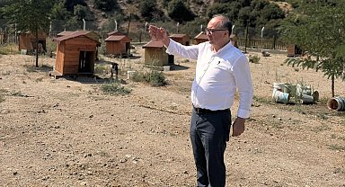 Buldan'da tepkiler artınca, Başkan barınağa gidip poz verdi