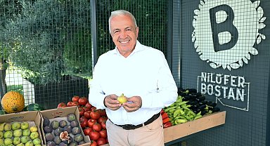 Bursa siyah inciri Nilüfer Bostan satış noktalarında