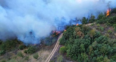 Bursa'da çıkan orman yangını 12 saat sonra kontrol altına alındı