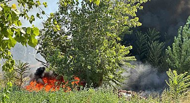 Bursa'da korkutan yangın : Odun depoları tehlike altında