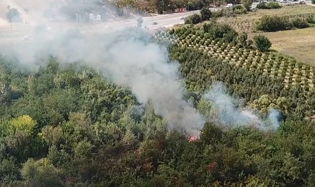 Bursa'da otluk alan alev alev yandı