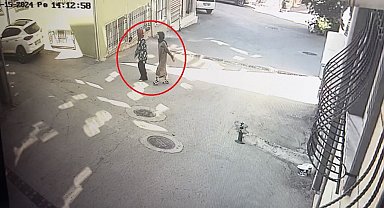 Bursa'da ziynet çalan kadın hırsız İznik Gölü'nde piknik yaparken yakalandı