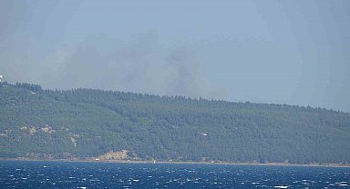 Çanakkale'de orman yangını